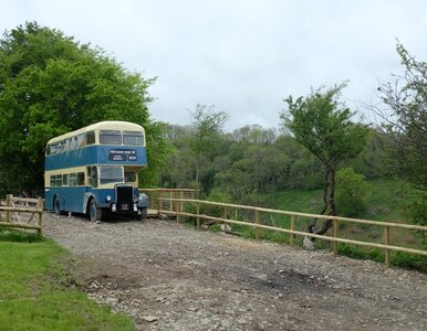 Miniatura: Dwupiętrowy autobus jest do wynajęcia....