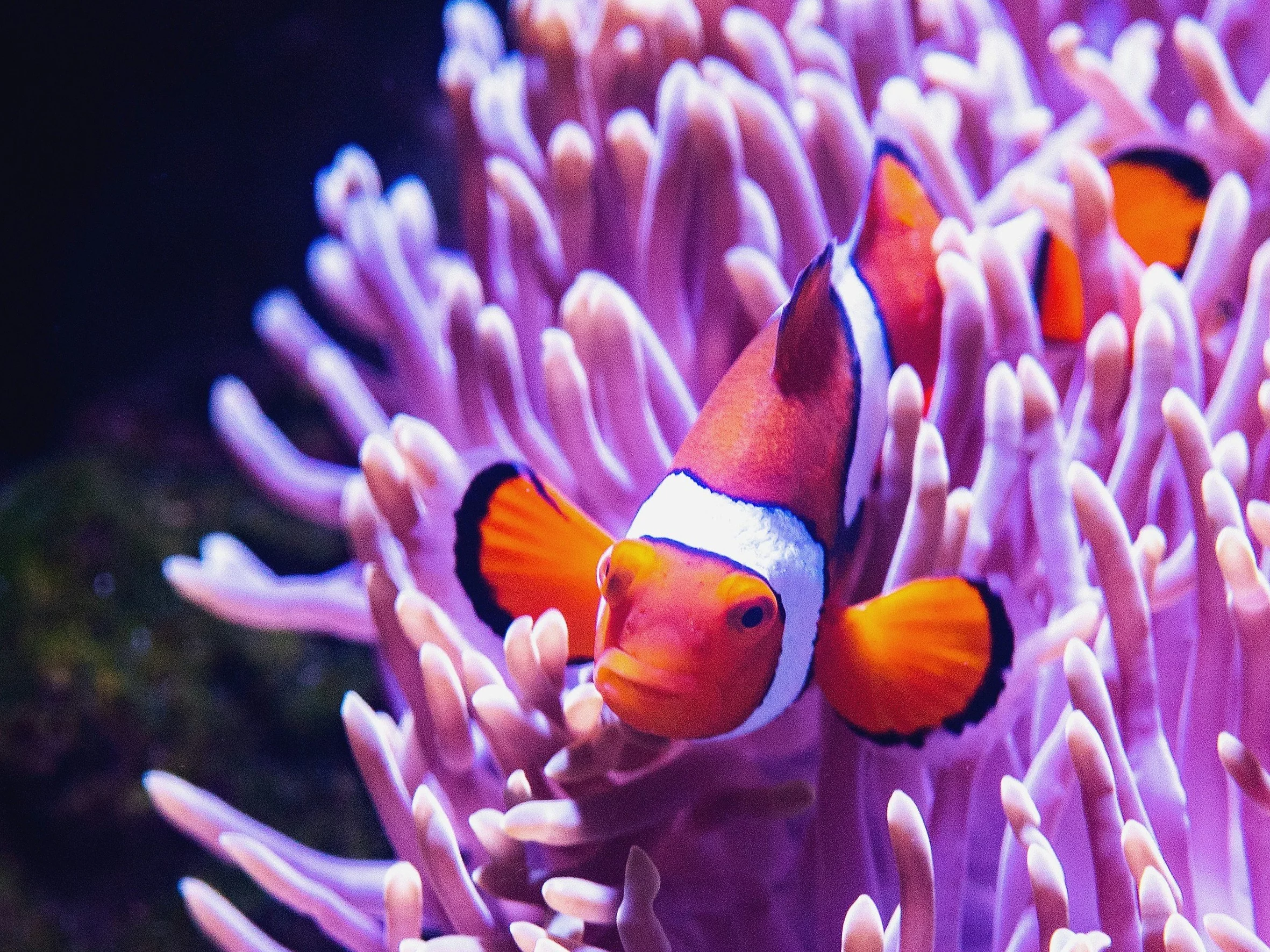 Błyskawiczny QUIZ przyrodniczy. Jak sobie poradzisz?