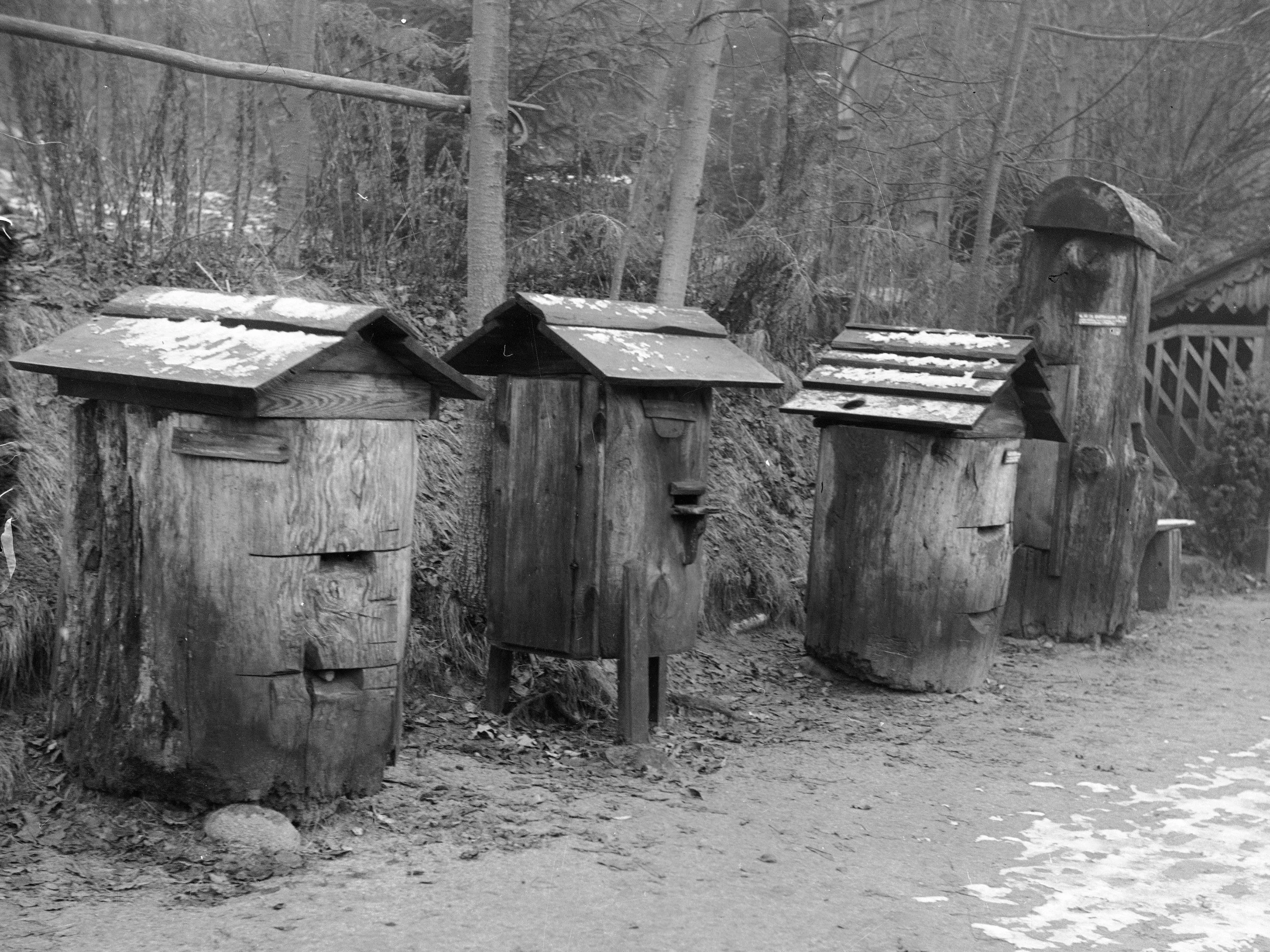 Quiz o starych zawodach. W 3. pytaniu zaczynają się schody