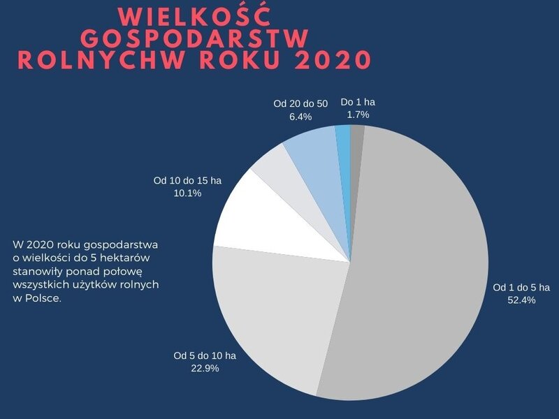 Wielkość gospodarstw rolnych w 2020 roku