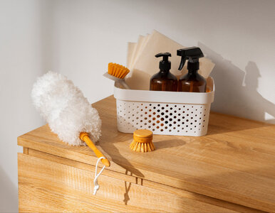 Miniatura: Sprzątasz, a kurz wraca po chwili. Ten...