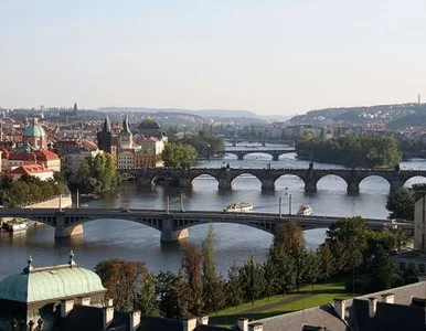 Miniatura: Chcesz azyl w Czechach? Pokaż jak reaguje...