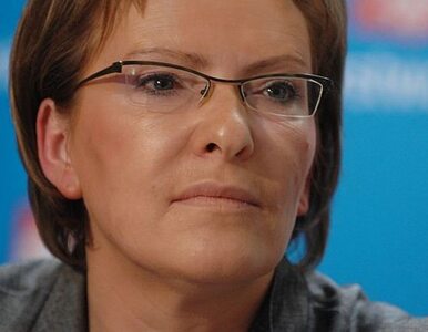 Miniatura: Wolińska-Bartkiewicz szefem Ministerstwa...