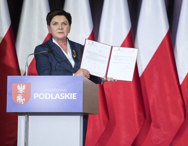 Miniatura: Premier ogłosiła powstanie polskiego...
