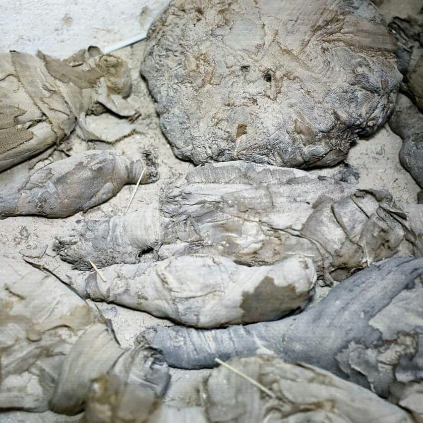 Mumie myszy, kotów i ptaków. Fascynujące znalezisko w Egipcie Wśród ponad 50 zwierzęcych mumii znaleziono myszy, koty i drapieżne ptaki