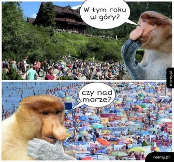 Memy na koniec roku szkolnego 