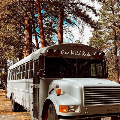 Miniatura: Mieszkają w przerobionym autobusie i...