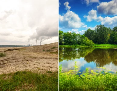 Miniatura: „Mazury” na południu Polski. Tutaj...