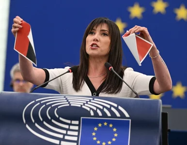 Miniatura: Europosłanka podarła flagę UPA. „Polacy...