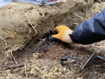 Poszukiwania szczątków zakonnic na cmentarzu w Ornecie 