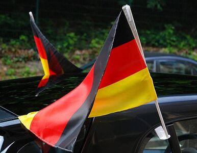 Miniatura: Niemieccy oszuści podatkowi zgłaszają się...