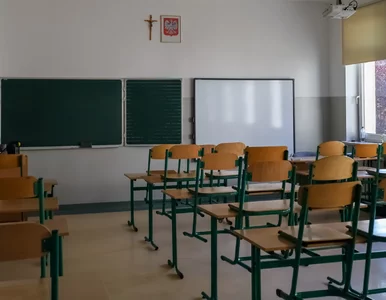 Miniatura: Nowe przedmioty w polskich szkołach. „To...