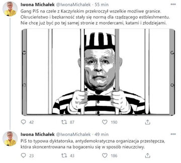 Screen z&nbsp;konta posłanki Iwony Michałek