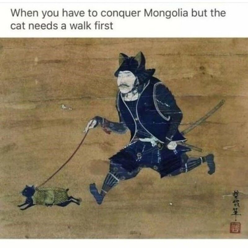 Kiedy musisz podbić Mongolię, ale wcześniej trzeba wyprowadzić kota 