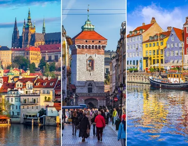 Miniatura: To najmniej stresujące miasto dla...