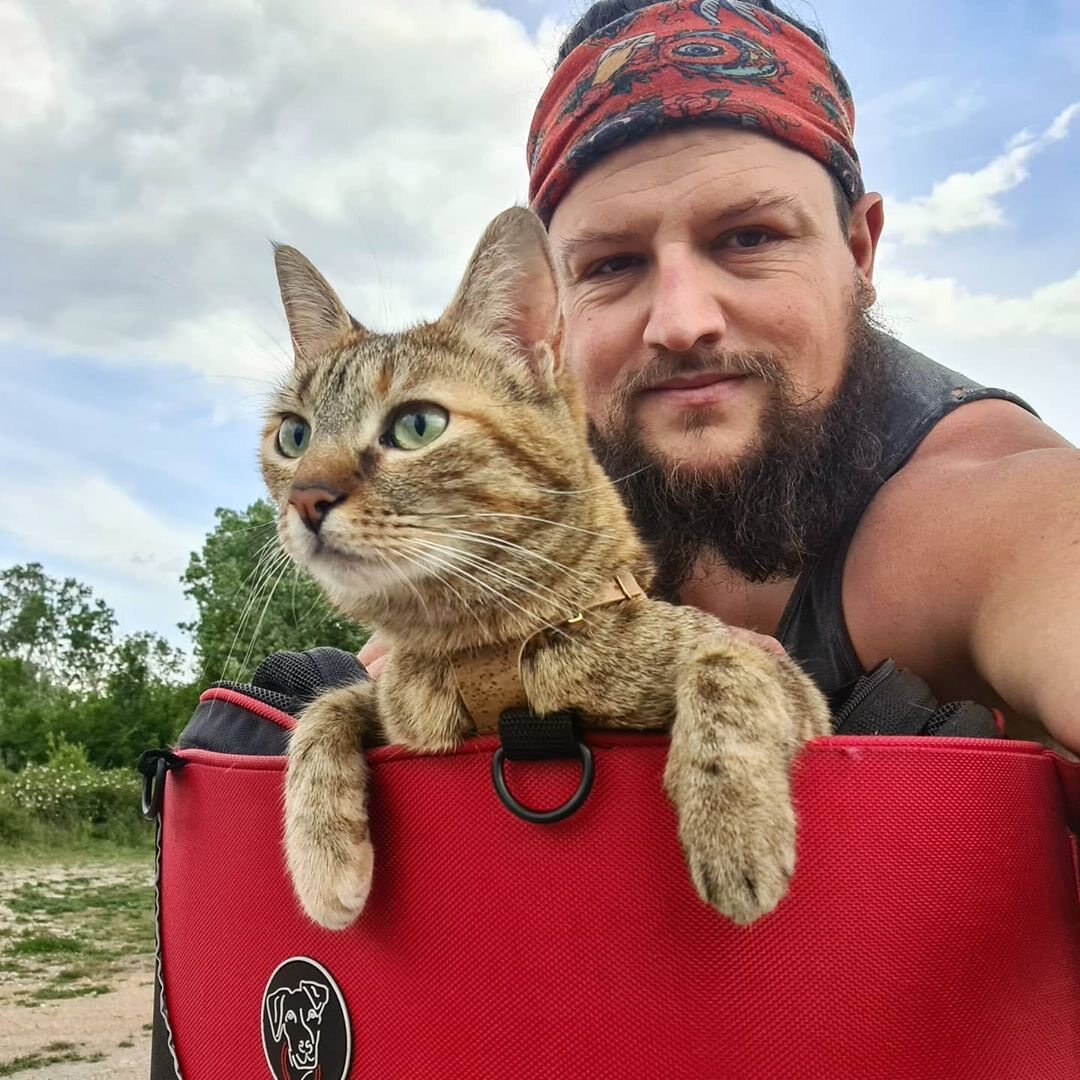 Dean podróżuje z kotką 