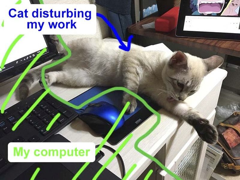 Kot zajmujący przestrzeń na biurku. Przedstawienie sytuacji 