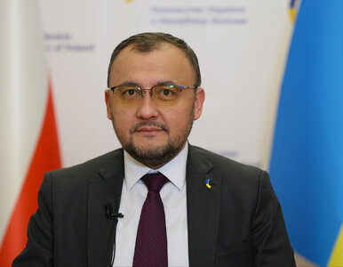 Miniatura: Ekshumacje ofiar rzezi wołyńskiej....