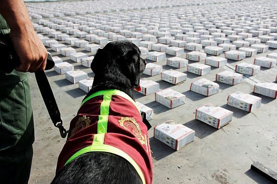 Władze Wenezueli przechwyciły transport 3,3 ton kokainy. Narkotyk miał trafić do Meksyku (fot. PAP/EPA/ROBERTO GIL)