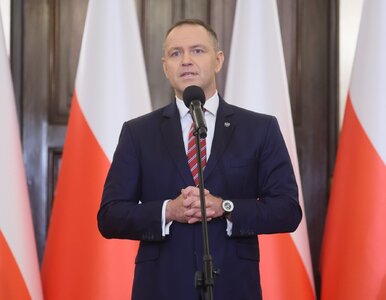 Miniatura: Nawrocki chce referendum ws. Zielonego...