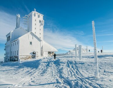 Miniatura: Tanie bilety PKP Intercity. Promocja na...