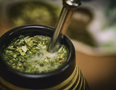 Miniatura: Yerba mate – dlaczego warto sięgać po ten...