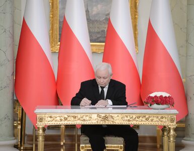 Miniatura: Powrót Kaczyńskiego do rządu pomoże PiS...