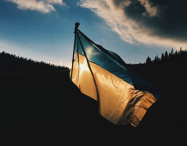 Miniatura: Dzień Niepodległości Ukrainy. W Warszawie...