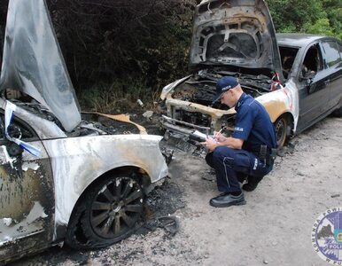Miniatura: Niemiec podpalał samochody podczas wakacji...