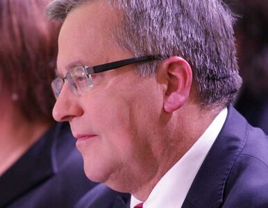 Miniatura: Gibała: Komorowski zachował się jak były...