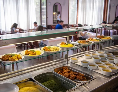 Miniatura: Darmowe obiady w polskich szkołach?...