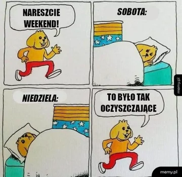 Mem związany z majówką 