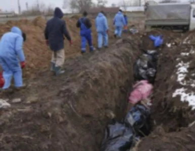 Miniatura: Zbiorą własne ofiary w jedno miejsce?...