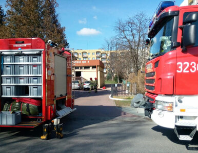 Miniatura: Akcja strażaków w Rzeszowie. Ze szkoły...