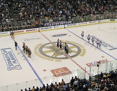 Miniatura: NHL: obrońcy Pucharu Stanleya idą jak burza