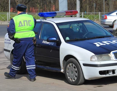 Miniatura: Wstrząsające odkrycie przy granicy z...