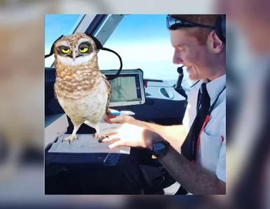 Miniatura: Piloci w czasie lotu bawili się...