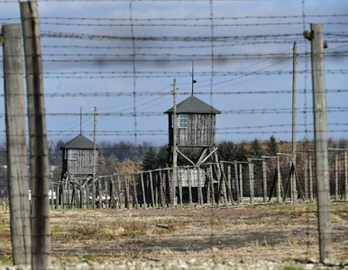 Miniatura: „Krwawe dożynki. 1943”: Trzy kobiety,...