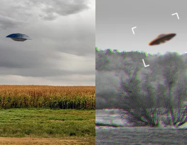 Miniatura: Ta wieś jest polską stolicą UFO. W tym...