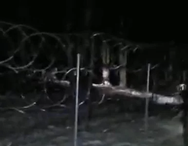 Miniatura: Granica polsko-białoruska. Najnowszy...