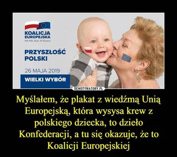 Mem po wyborach do PE 