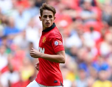 Miniatura: Awantura o Januzaja. Pięć reprezentacji i...