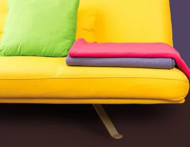 Miniatura: Uzależniła się od jedzenia... gąbek z sofy