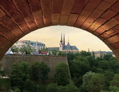 Miniatura: Luksemburg stopniowo „wraca do...