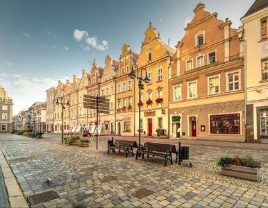 Miniatura: Praca marzeń dla podróżników. Polskie...