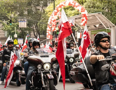 Miniatura: Polacy w USA donoszą na rodaków. Polonijny...