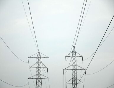 Miniatura: Już 230 tys. Polaków zmieniło dostawcę prądu