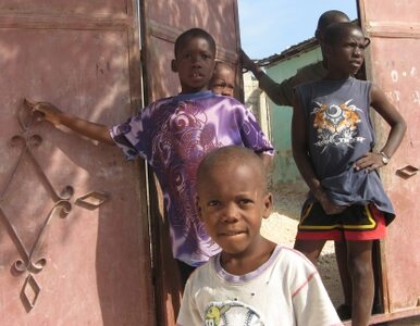 Miniatura: Amerykanie kradną dzieci na Haiti