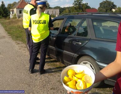 Miniatura: Kierowcy ze Śląska zaskoczeni trudnym...