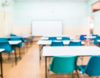 Miniatura: Matka znęcała się nad uczennicą, dyrektor...